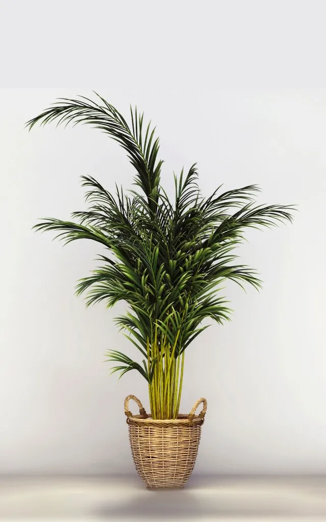 decoration – Office Tree 3ds Max