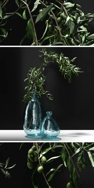 decoration – Olive branch 3ds Max
