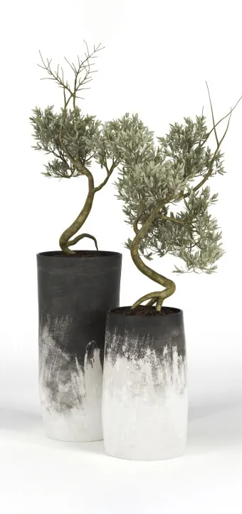 decoration – Olive Tree 02 3ds Max