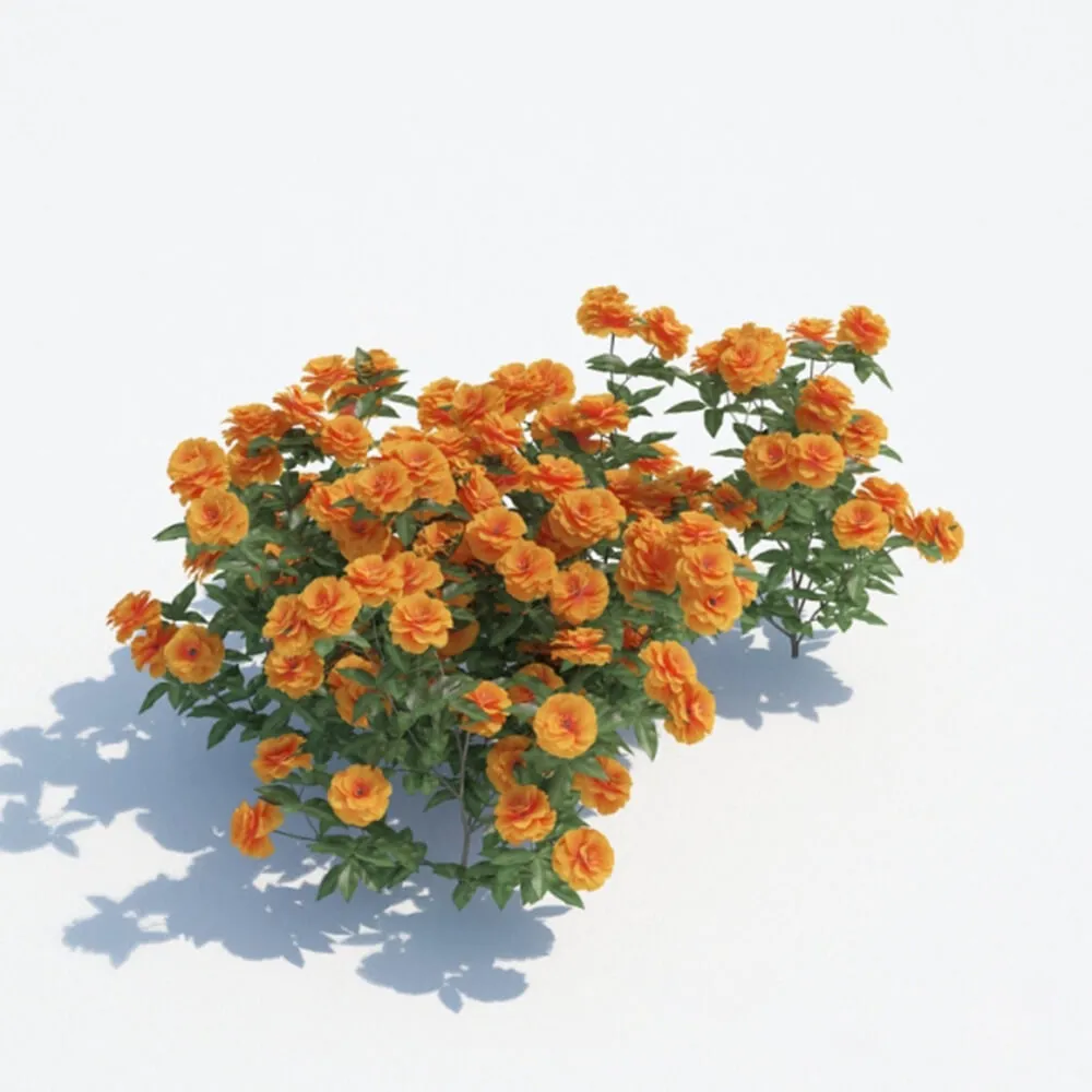 decoration – Orange flowers 3ds Max
