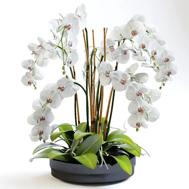 decoration – orchid 3ds Max