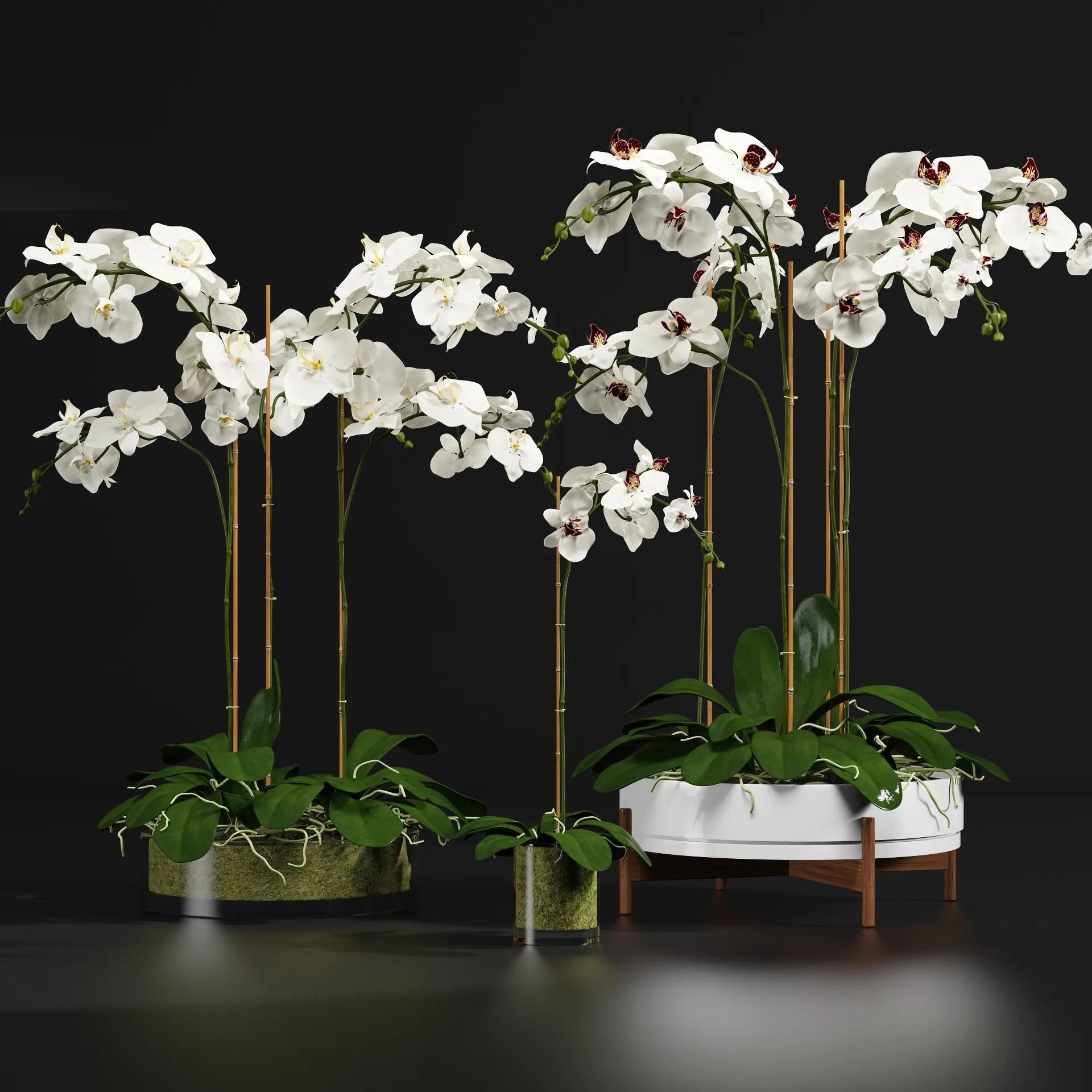 decoration – Orchid 56 3ds Max