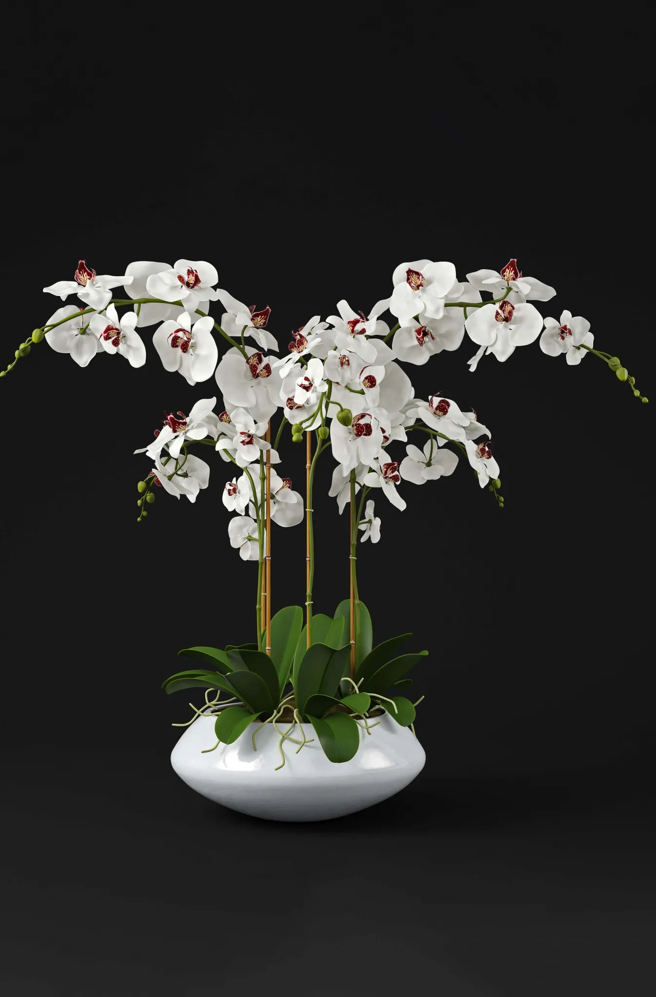 decoration – Orchid 7 3ds Max