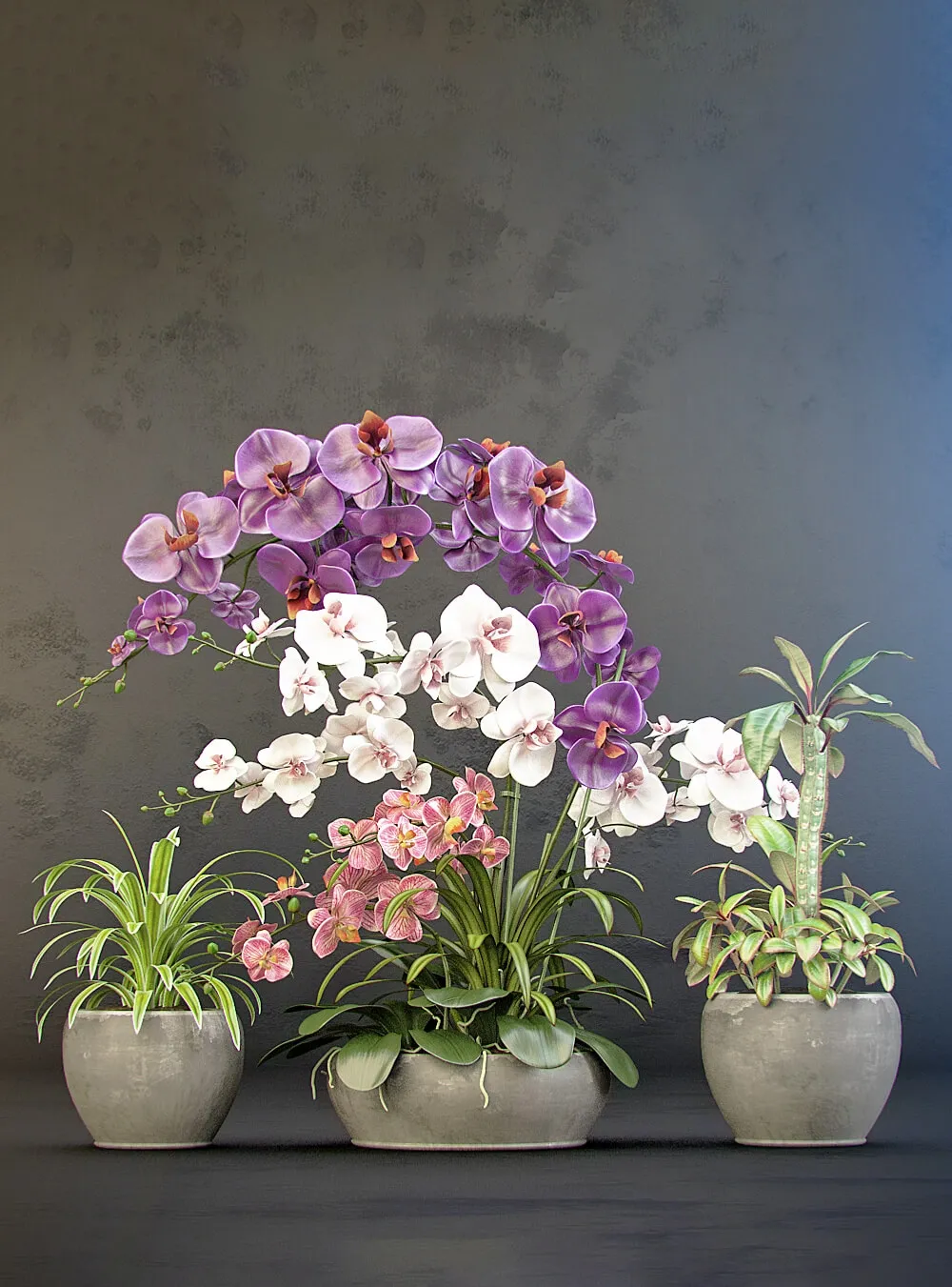 decoration – Orchid arrangement 01 3ds Max