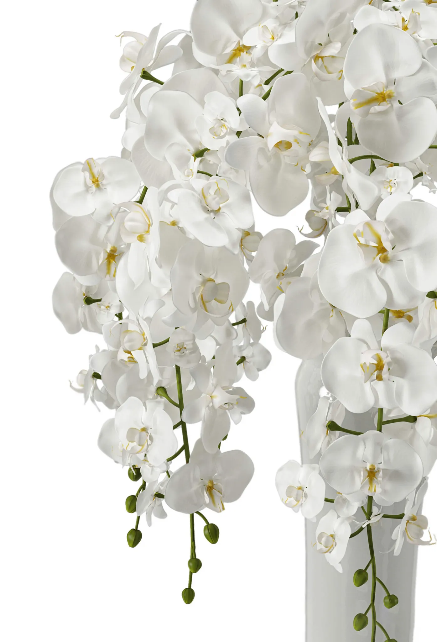 decoration – Orchid bouquet 3ds Max