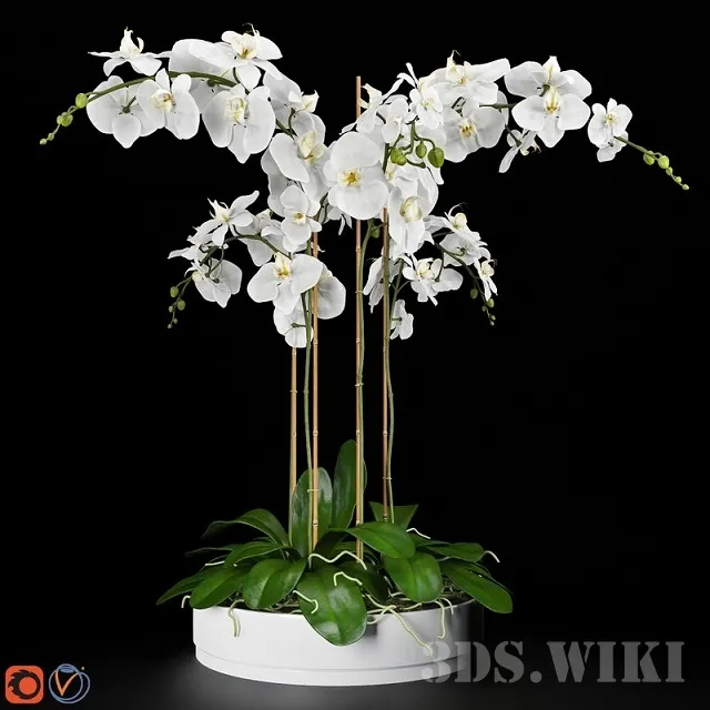 decoration – Orchid in a small pot 3ds Max