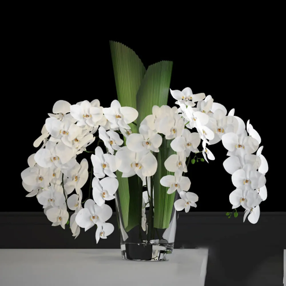 decoration – Orchid in a vase 3ds Max