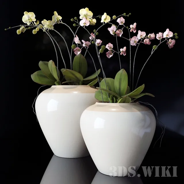 decoration – Orchid in vases – Pottery Barn 3ds Max