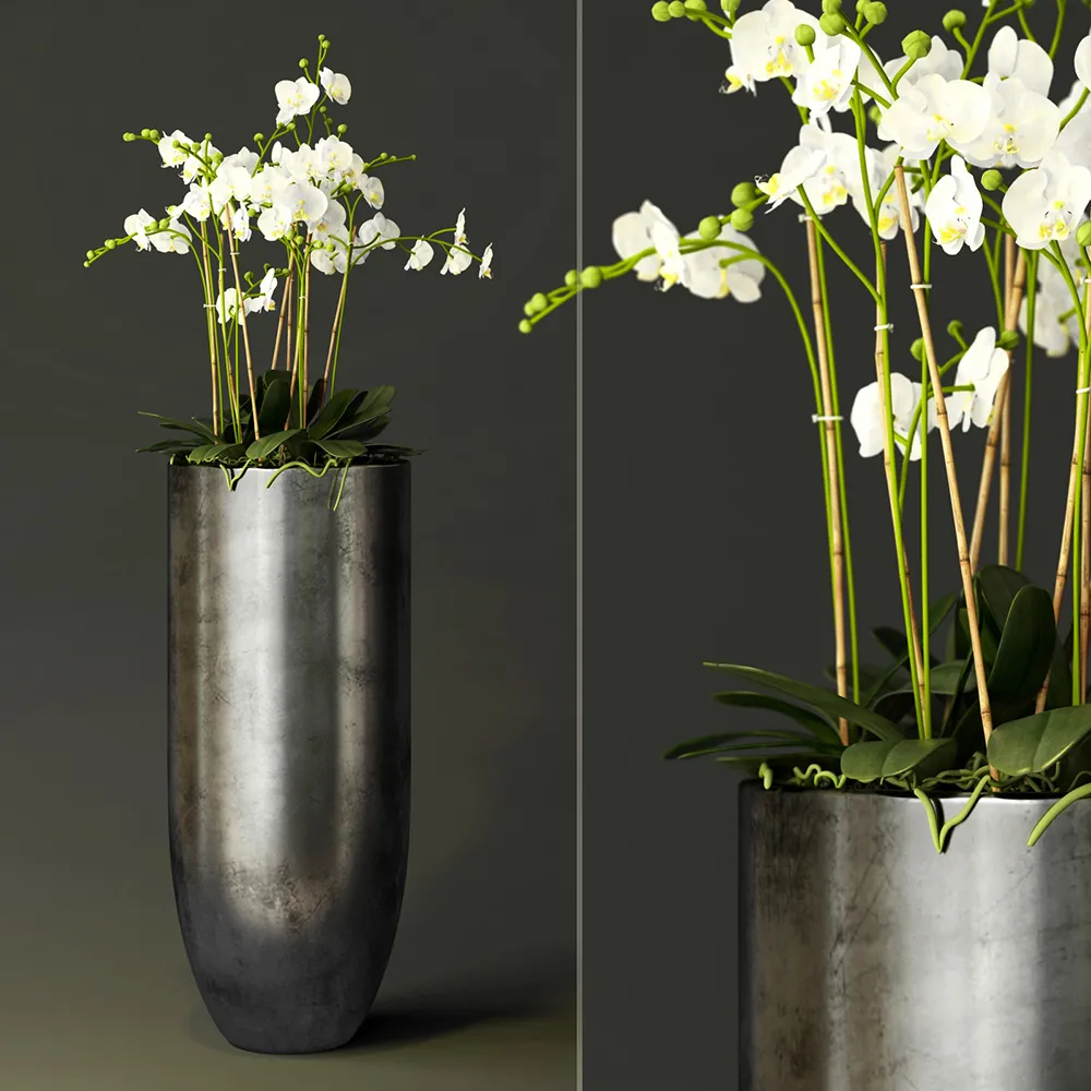 decoration – Orchids in a long metal pot 3ds Max