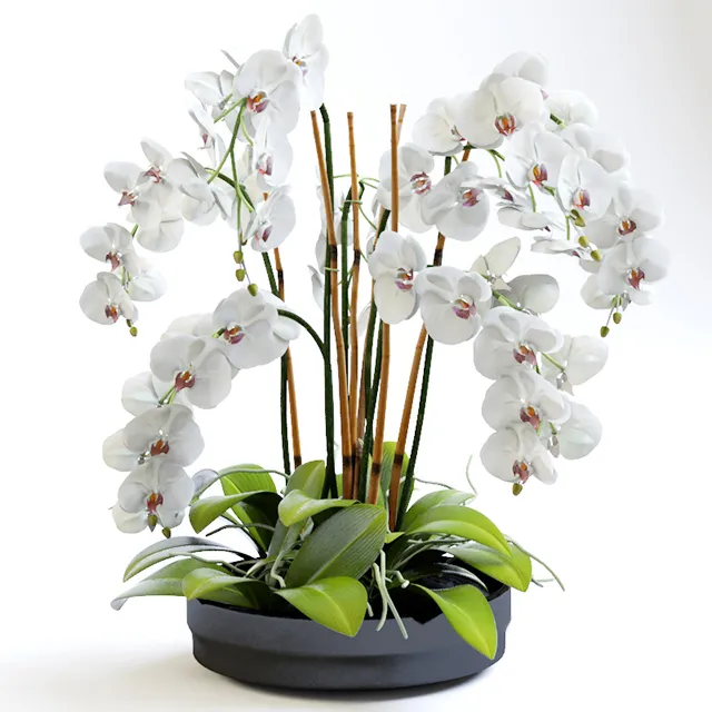 decoration – Orchids with willow branches 03 3ds Max