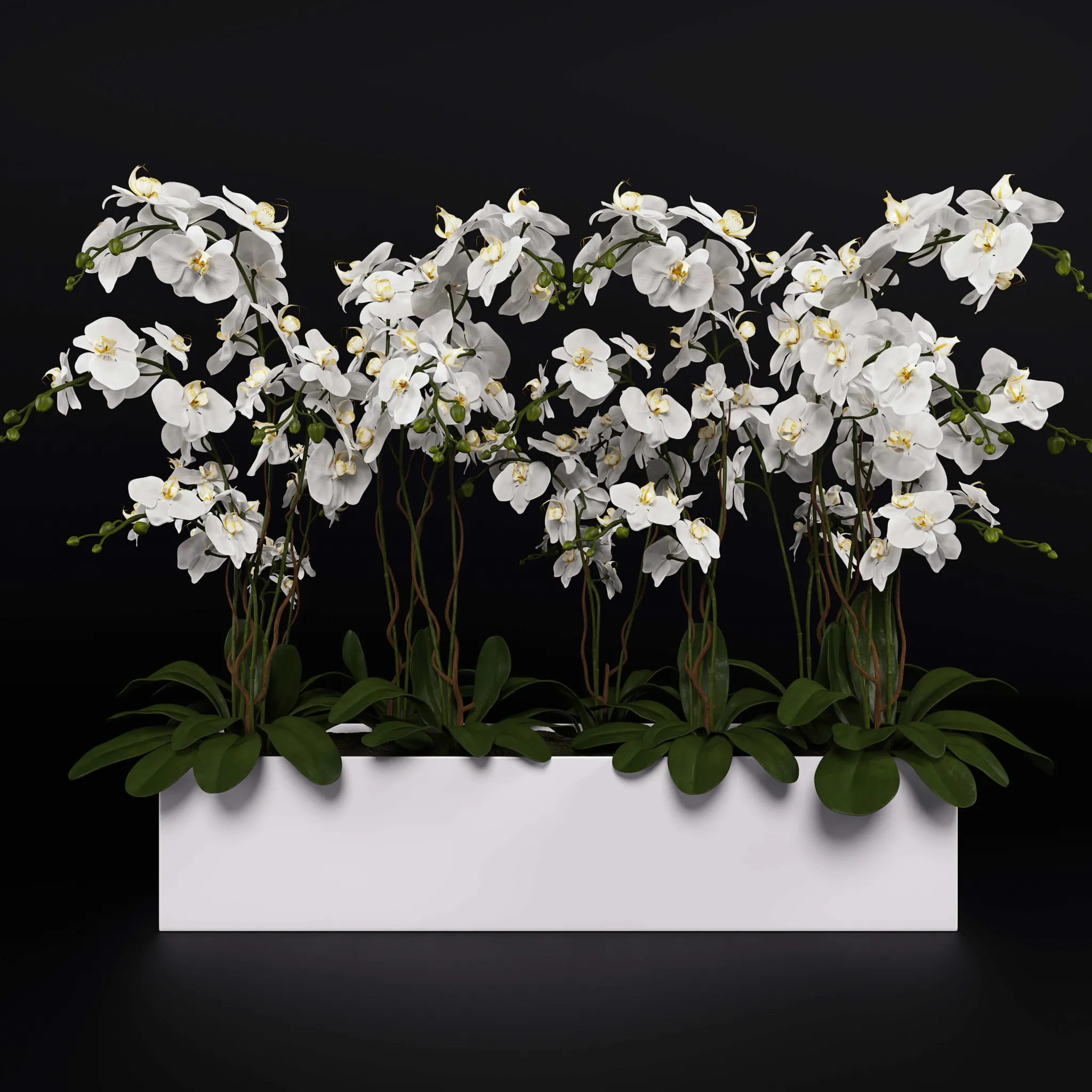 decoration – Orchids with willow branches 07 3ds Max