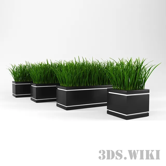 decoration – Ornamental grass 3ds Max
