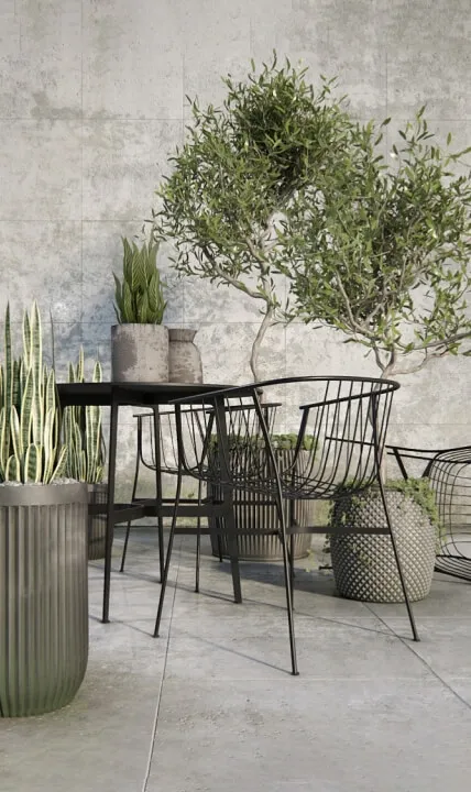 decoration – Outdoor_plant_set 3ds Max