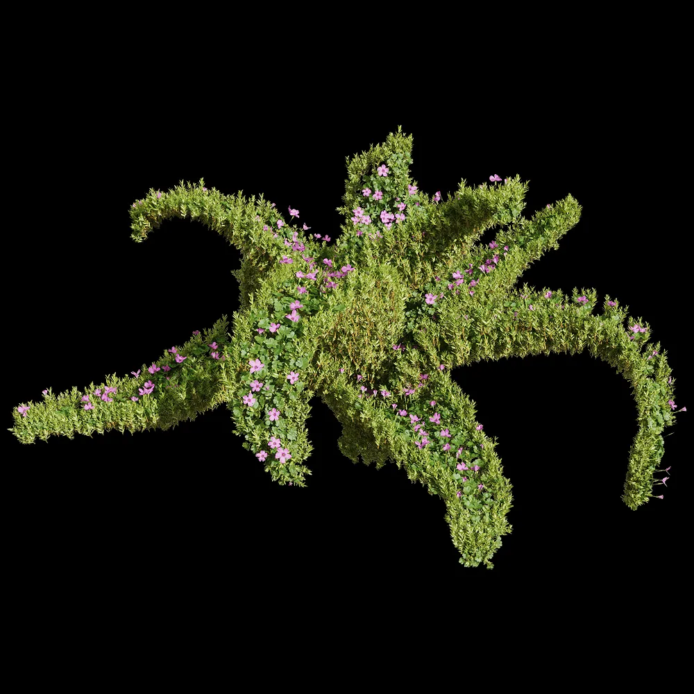 decoration – Oxalis corymbosa 1 3ds Max