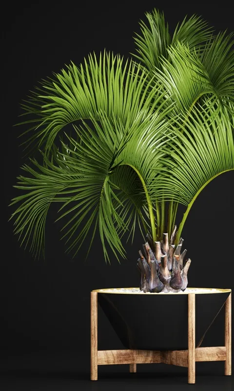 decoration – Palm 01 3ds Max