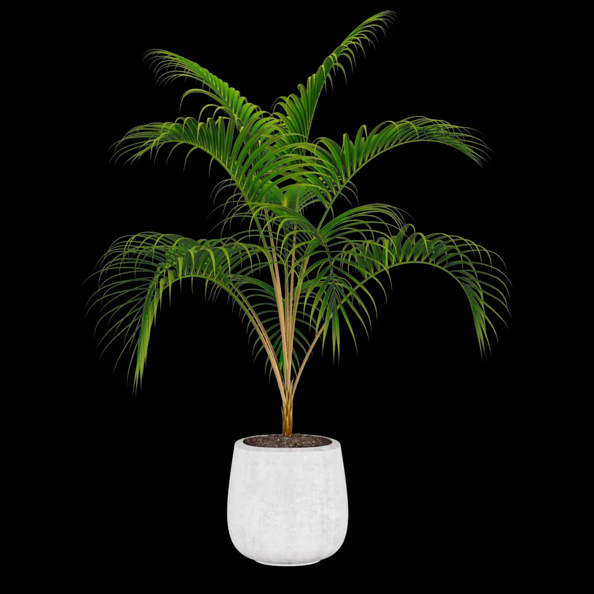 decoration – Palm plant 3ds Max
