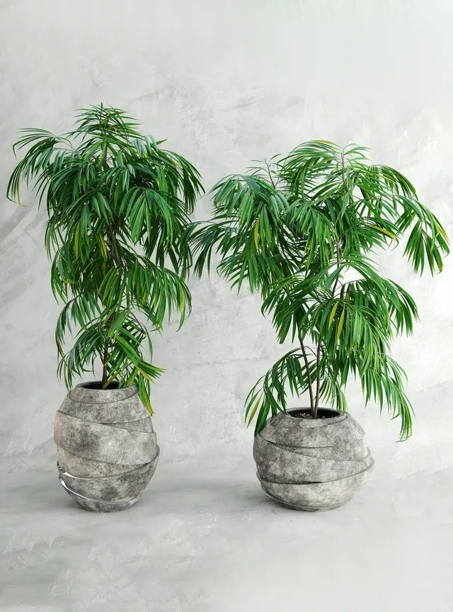 decoration – Palma 3 3ds Max