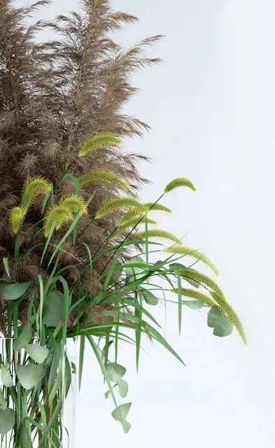 decoration – Pennisetum and Pampas grass 3ds Max