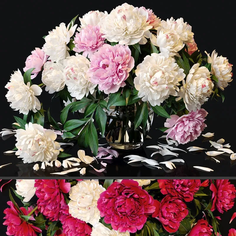 decoration – Peonies 36 3ds Max