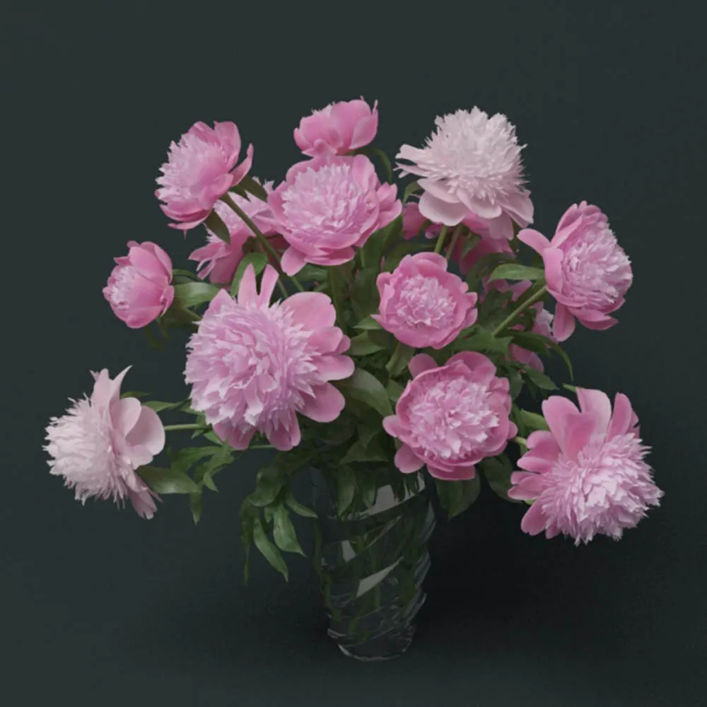 decoration – Peons barbara 3ds Max