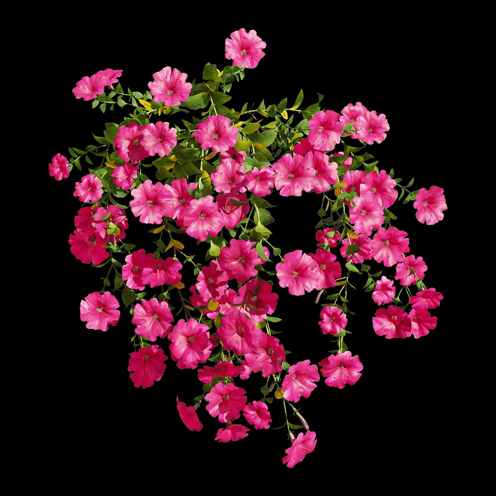decoration – Petunia hybrida Vilm 5 3ds Max