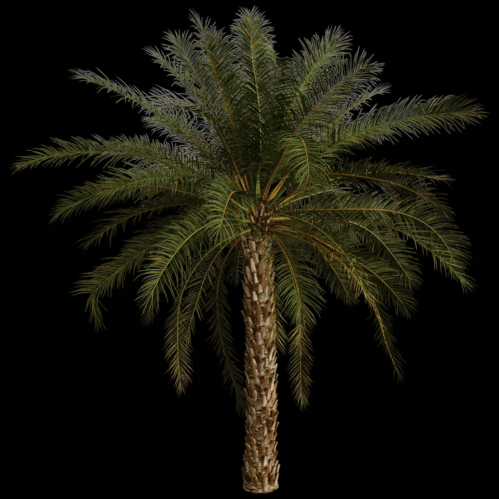 decoration – Phoenix Dactylifera 01 01 3ds Max