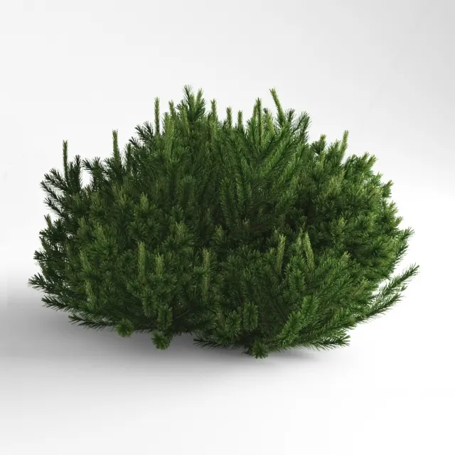 decoration – Pine Mountain Mugus 3ds Max