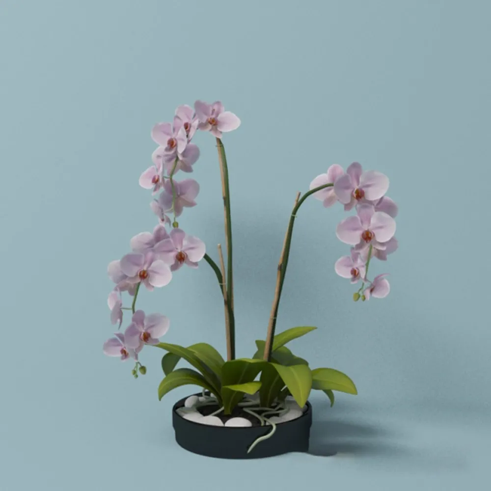 decoration – Pink orchid 3ds Max