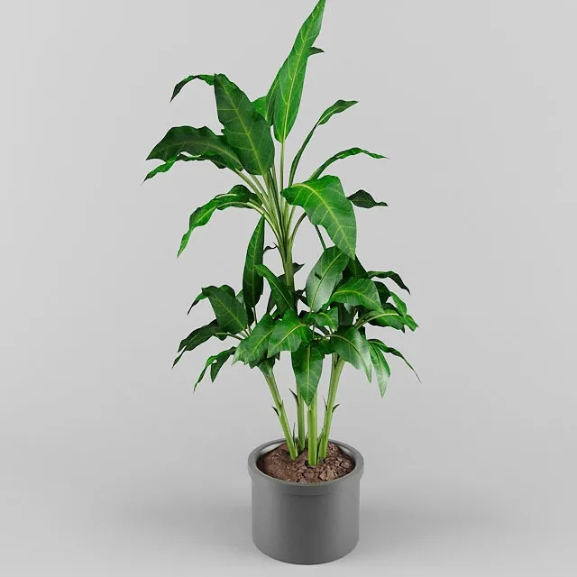 decoration – Plant 0563 3ds Max
