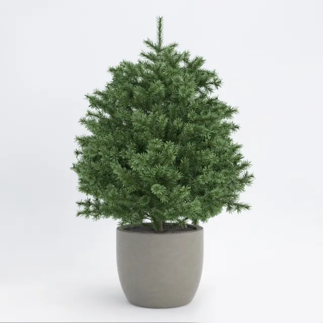 decoration – Plant 058 3ds Max