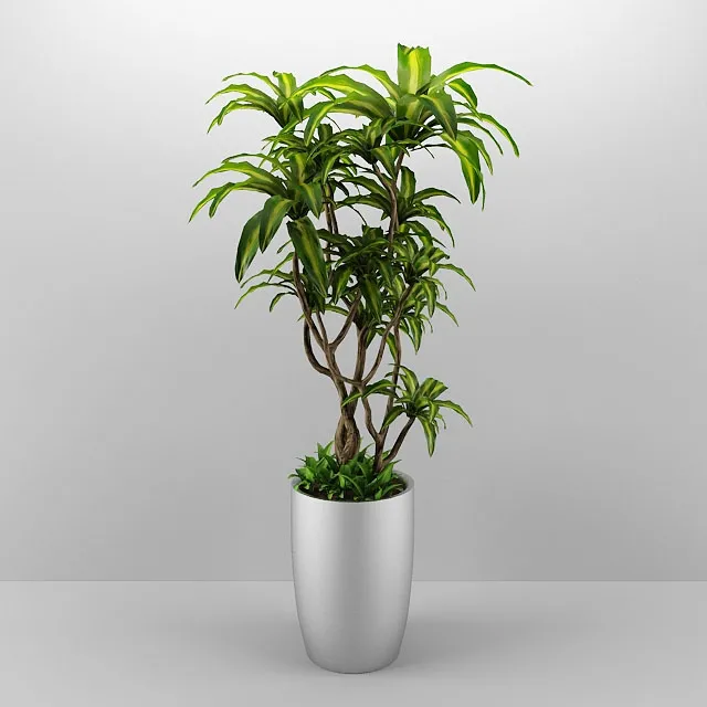 decoration – Plant 2 3ds Max