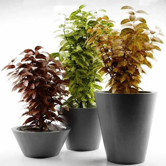 decoration – Plant 37 3ds Max