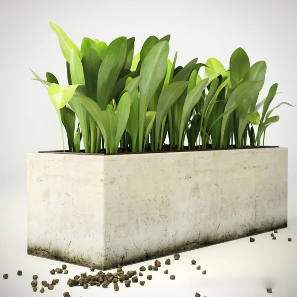 decoration – Plant 3ds Max