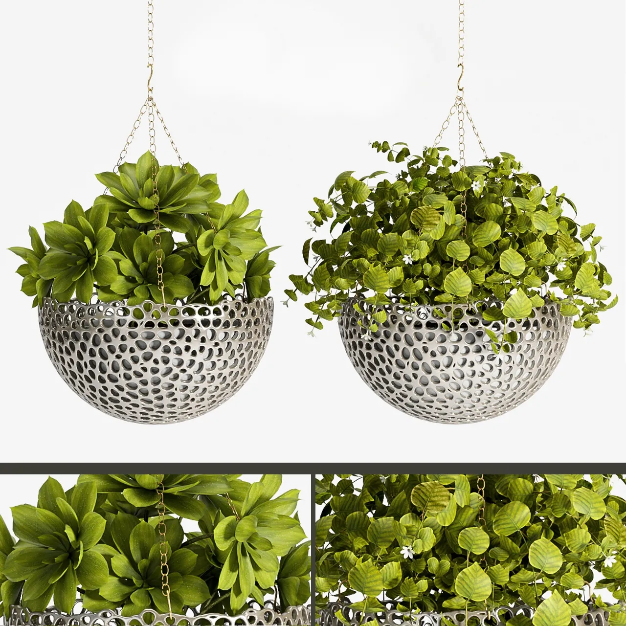 decoration – Plant -62 3ds Max