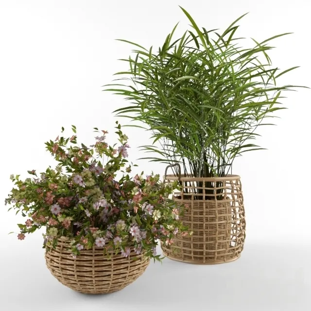 decoration – Plant 97 3ds Max