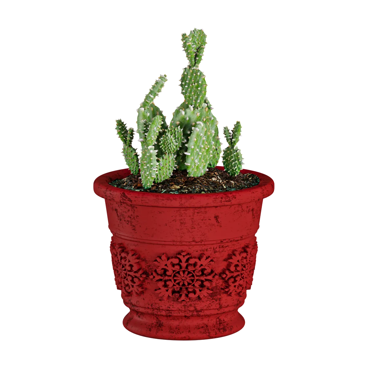 decoration – Plant cactus 3ds Max