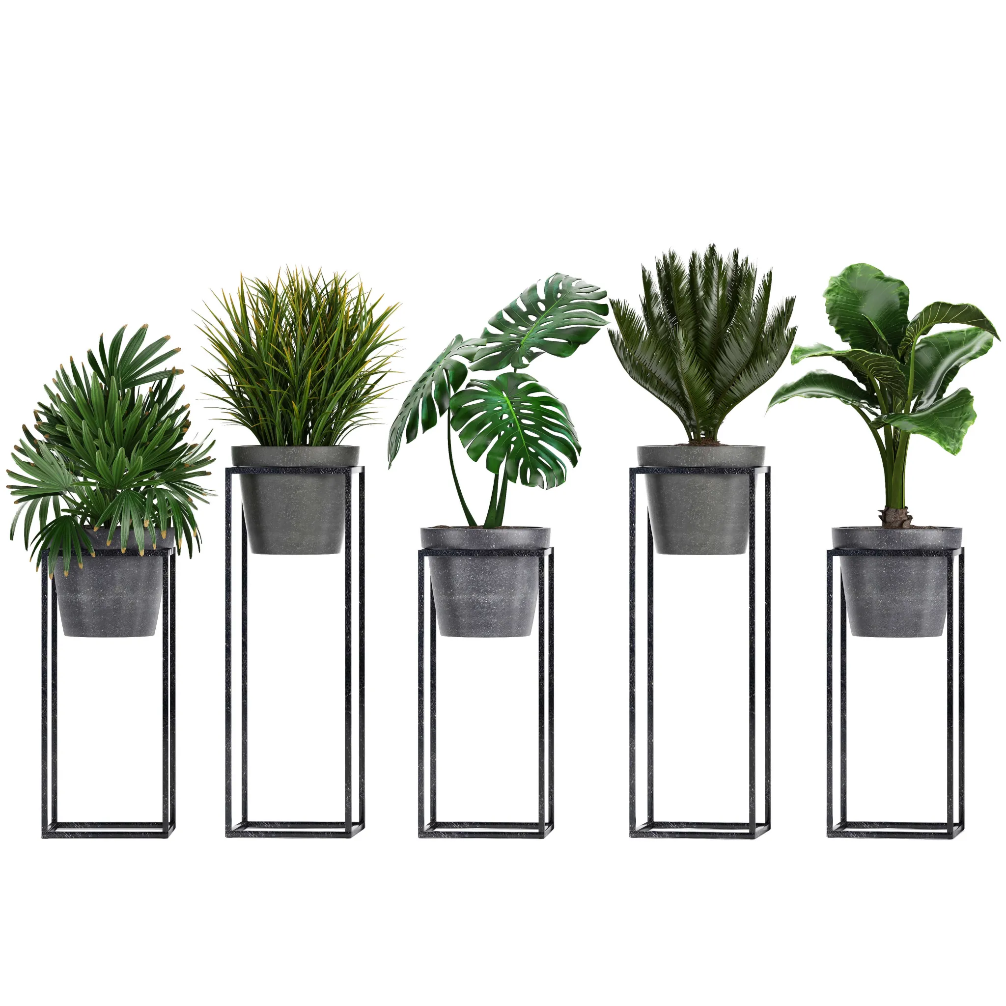 decoration – Plant collection 241 3ds Max