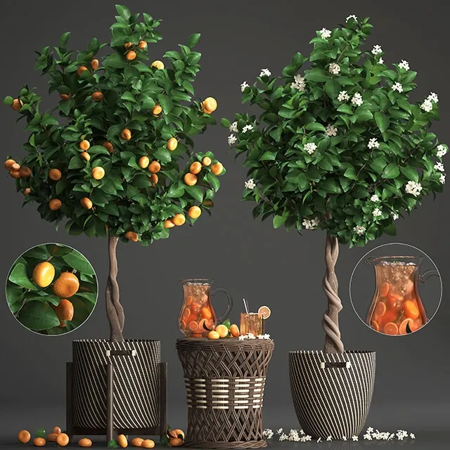 decoration – Plant collection 267 3ds Max