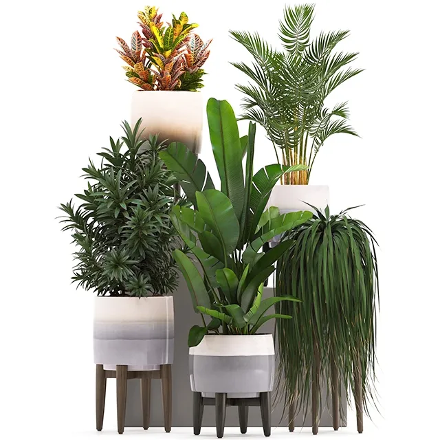 decoration – Plant Collection 278 3ds Max