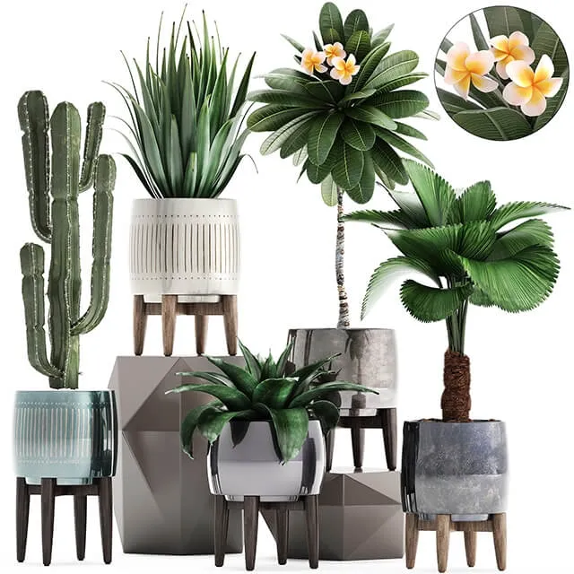 decoration – Plant collection 292 3ds Max