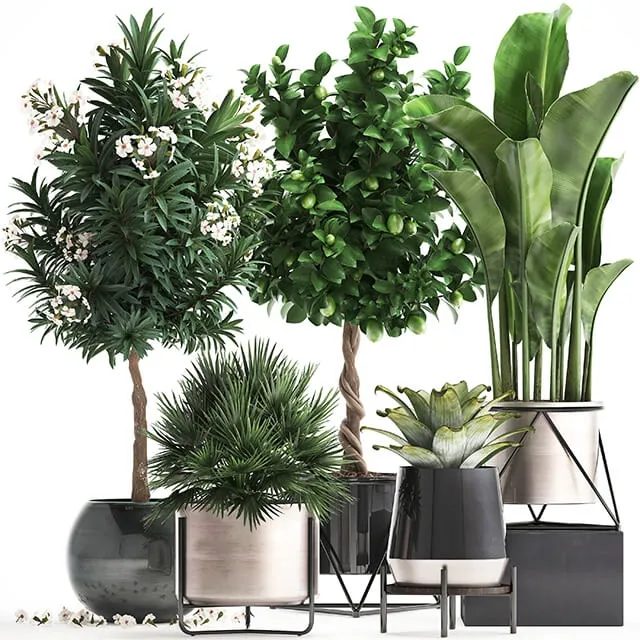 decoration – Plant collection 297 3ds Max