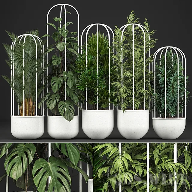 decoration – Plant collection 328 3ds Max
