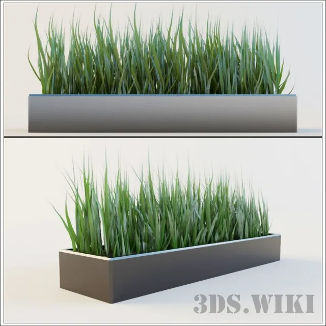 decoration – Plant for exterior and interior – Grass 3ds Max