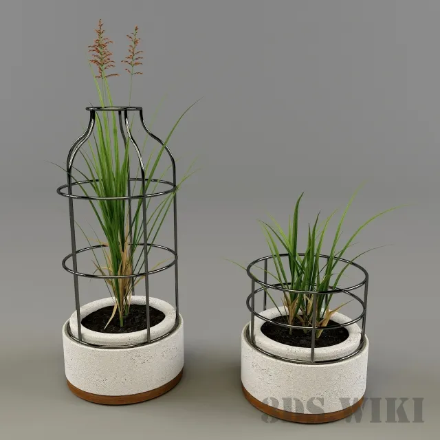 decoration – Plant – grass in decorative pots 3ds Max