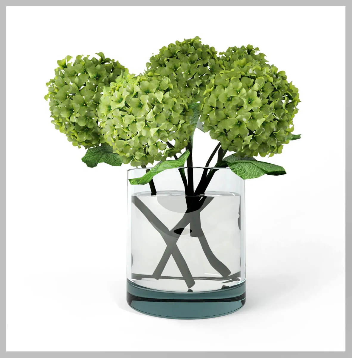 decoration – Plant hydrangea 10 3ds Max