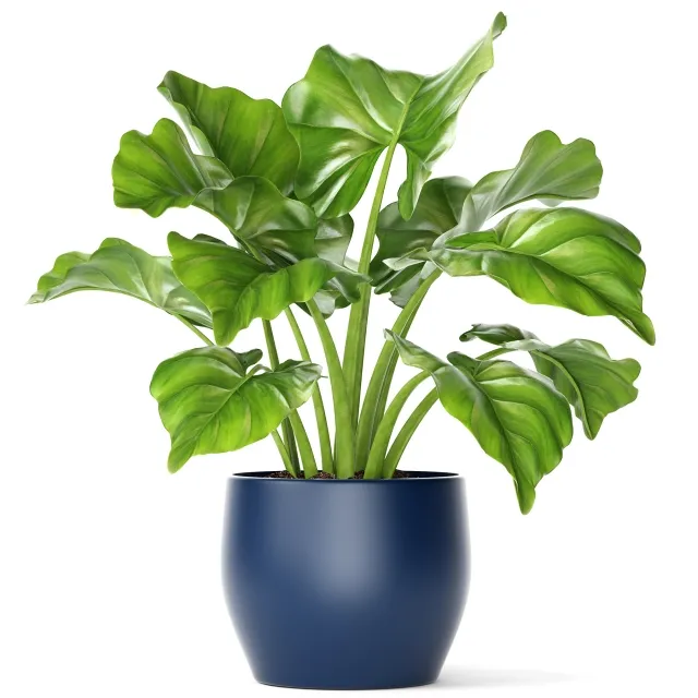 decoration – Plant in a pot 1 3ds Max