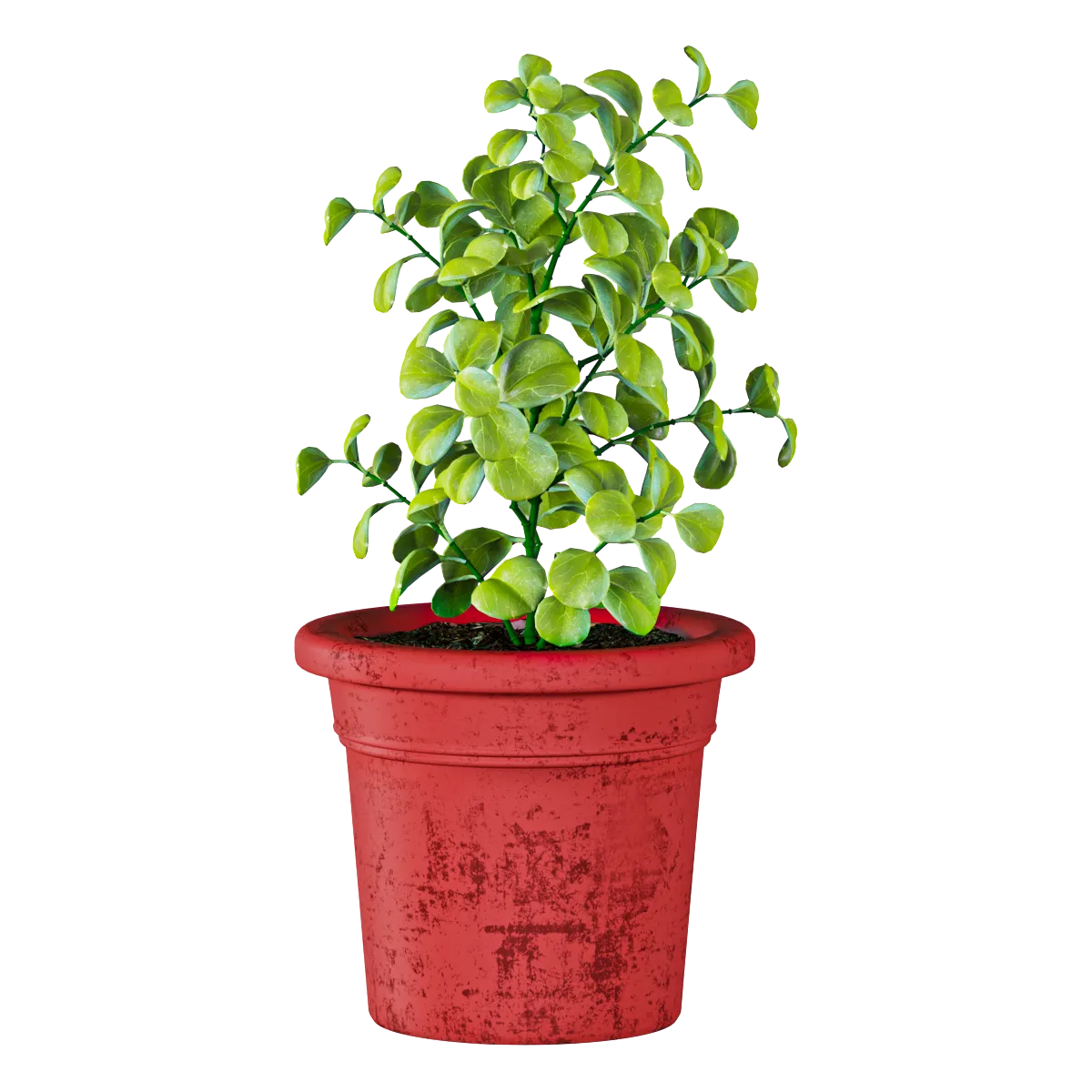 decoration – Plant in a pot 3ds Max