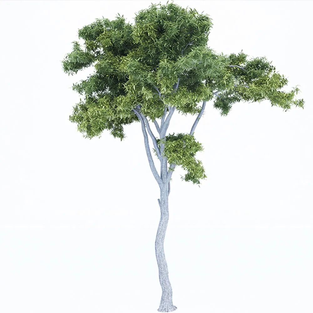 decoration – Plant in the form of a tree 3ds Max