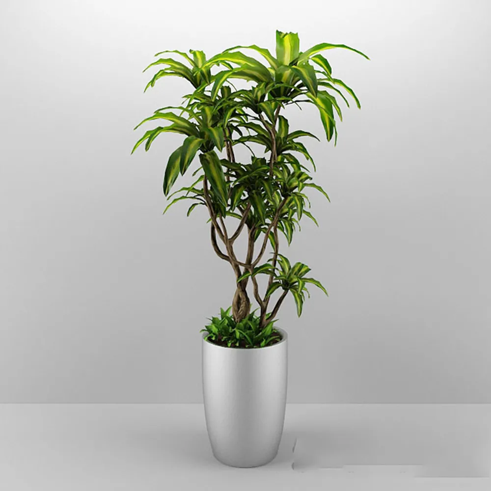 decoration – Plant in the pot 3ds Max