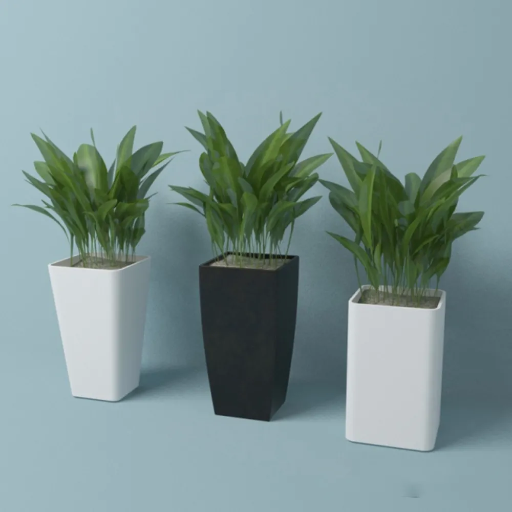 decoration – Plant (leaves) in vases 3ds Max